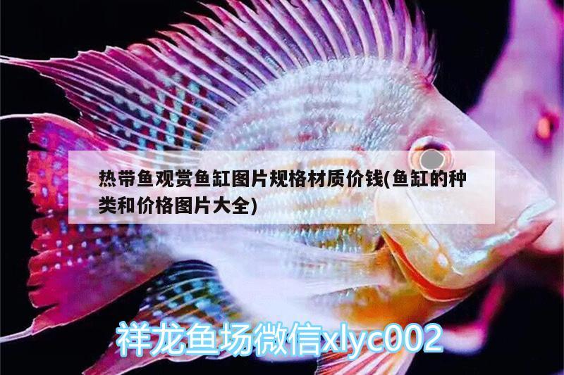 熱帶魚觀賞魚缸圖片規(guī)格材質(zhì)價(jià)錢(魚缸的種類和價(jià)格圖片大全)