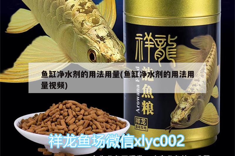 魚缸凈水劑的用法用量(魚缸凈水劑的用法用量視頻)