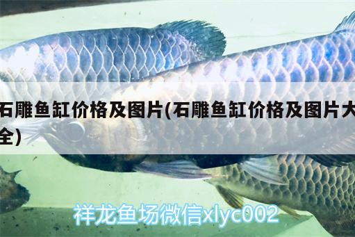 石雕魚缸價(jià)格及圖片(石雕魚缸價(jià)格及圖片大全)