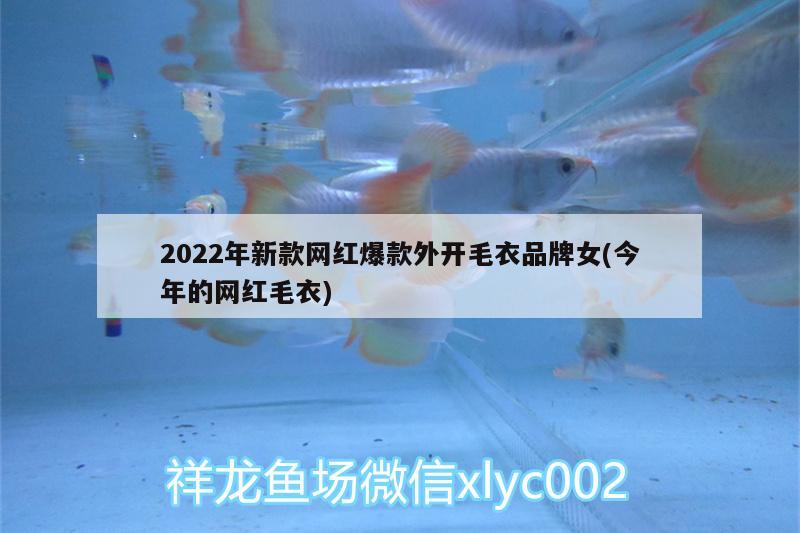 2022年新款網(wǎng)紅爆款外開毛衣品牌女(今年的網(wǎng)紅毛衣)