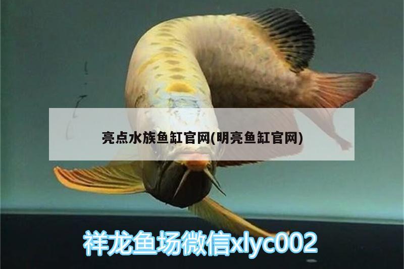 亮點水族魚缸官網(wǎng)(明亮魚缸官網(wǎng))