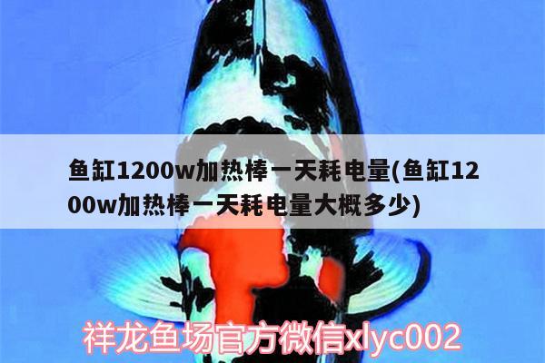 魚缸1200w加熱棒一天耗電量(魚缸1200w加熱棒一天耗電量大概多少) 夢幻雷龍魚