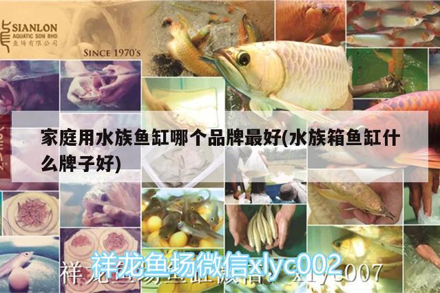 家庭用水族魚缸哪個品牌最好(水族箱魚缸什么牌子好)