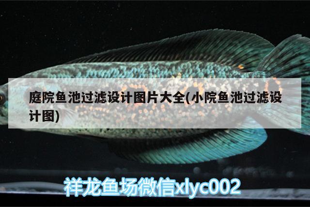 庭院魚(yú)池過(guò)濾設(shè)計(jì)圖片大全(小院魚(yú)池過(guò)濾設(shè)計(jì)圖)