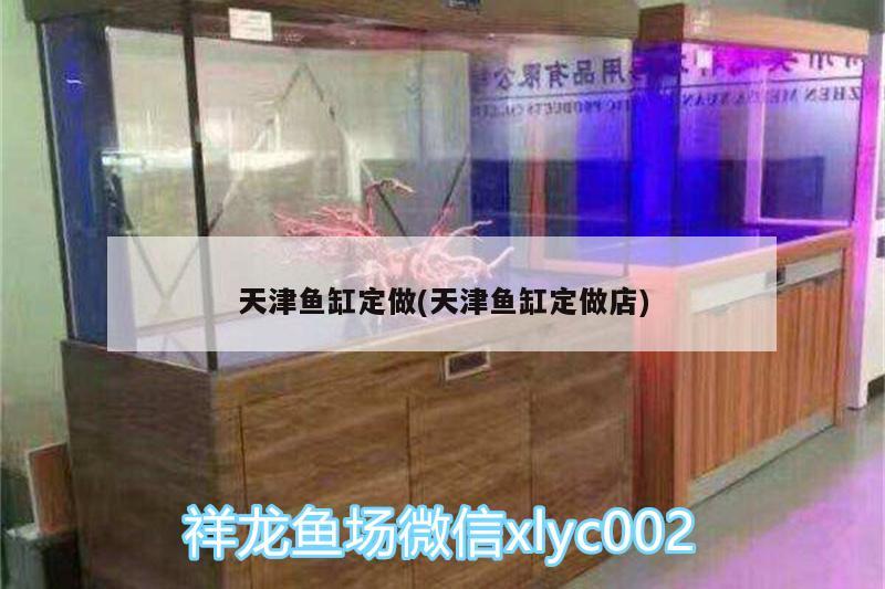 天津魚缸定做(天津魚缸定做店) 祥龍水族濾材/器材