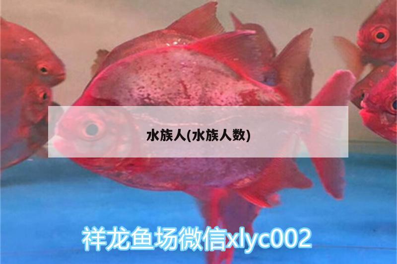 水族人(水族人數(shù)) 魚(yú)缸清潔用具