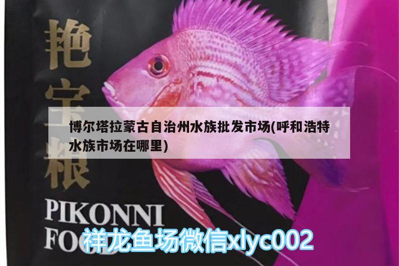 博爾塔拉蒙古自治州水族批發(fā)市場(chǎng)(呼和浩特水族市場(chǎng)在哪里)