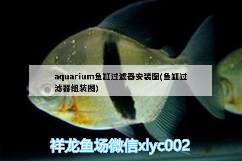 aquarium魚缸過濾器安裝圖(魚缸過濾器組裝圖)