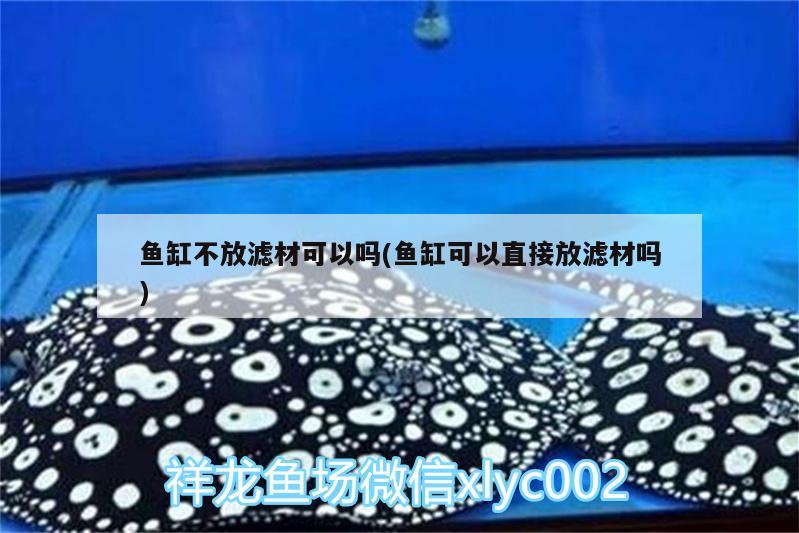 魚缸不放濾材可以嗎(魚缸可以直接放濾材嗎) 胭脂孔雀龍魚