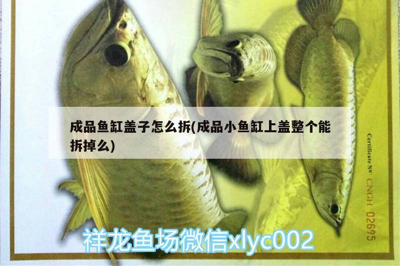 成品魚缸蓋子怎么拆(成品小魚缸上蓋整個能拆掉么) 夢幻雷龍魚