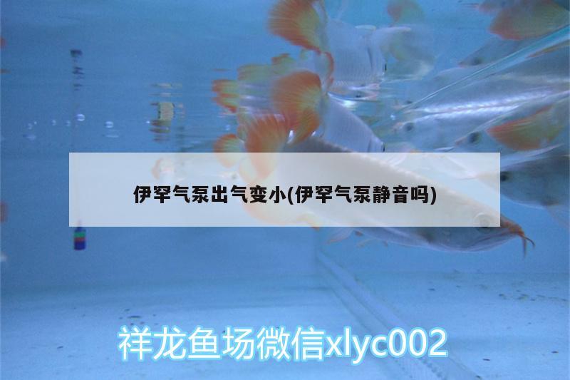 伊罕氣泵出氣變小(伊罕氣泵靜音嗎) 伊罕水族