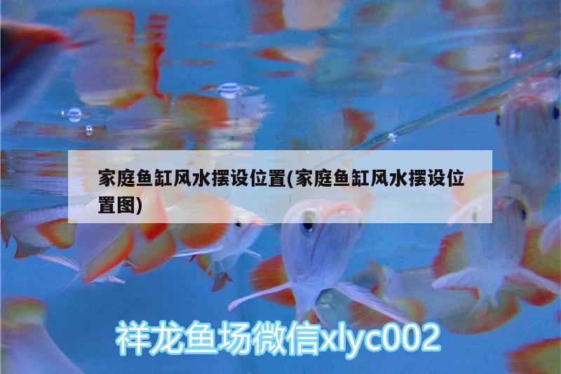 家庭魚缸風(fēng)水?dāng)[設(shè)位置(家庭魚缸風(fēng)水?dāng)[設(shè)位置圖)