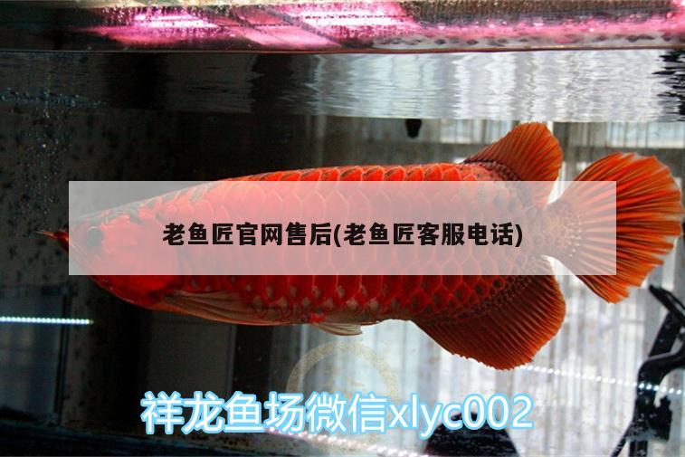 老魚(yú)匠官網(wǎng)售后(老魚(yú)匠客服電話) 老魚(yú)匠