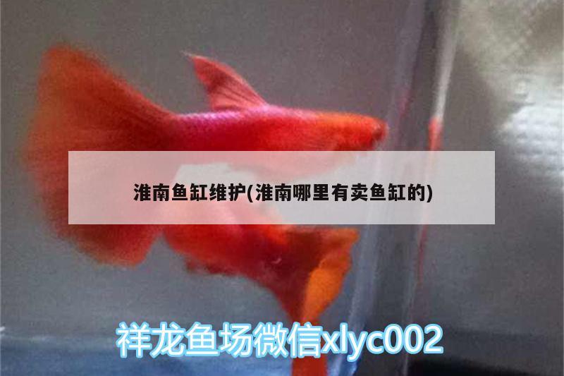 淮南魚(yú)缸維護(hù)(淮南哪里有賣魚(yú)缸的)