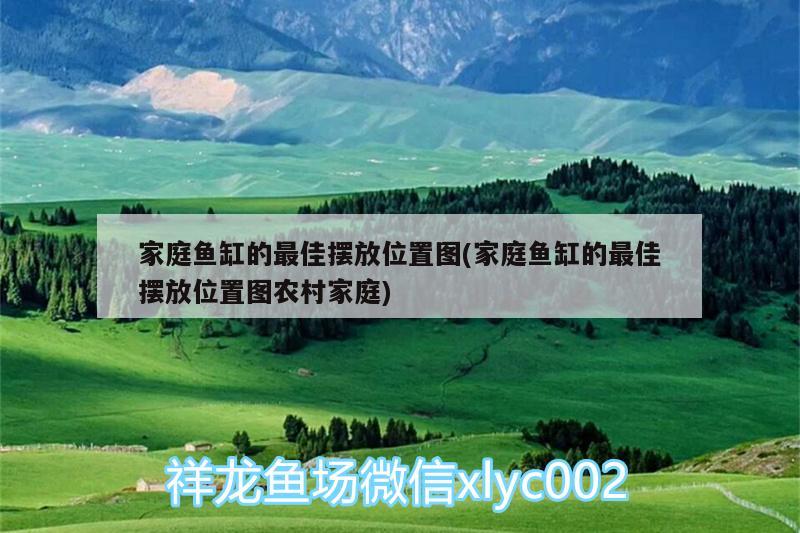 家庭魚缸的最佳擺放位置圖(家庭魚缸的最佳擺放位置圖農(nóng)村家庭) 祥龍傳奇品牌魚缸