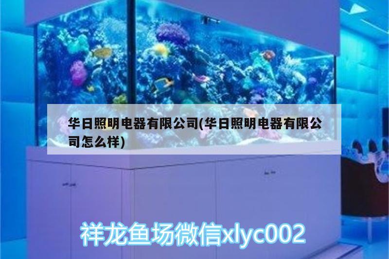 華日照明電器有限公司(華日照明電器有限公司怎么樣)