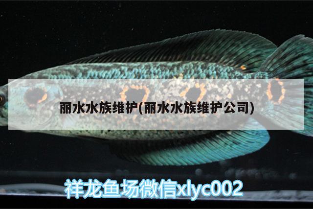 麗水水族維護(hù)(麗水水族維護(hù)公司) 魚(yú)缸凈水劑