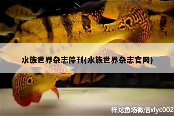 水族世界雜志?？?水族世界雜志官網(wǎng)) 野彩魚