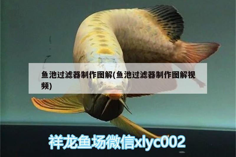 魚池過濾器制作圖解(魚池過濾器制作圖解視頻)