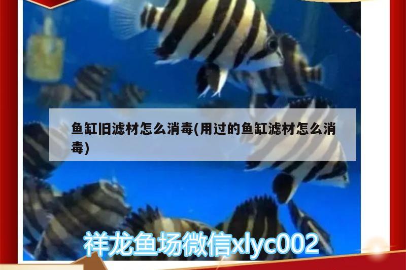 魚缸舊濾材怎么消毒(用過(guò)的魚缸濾材怎么消毒) BD魟魚