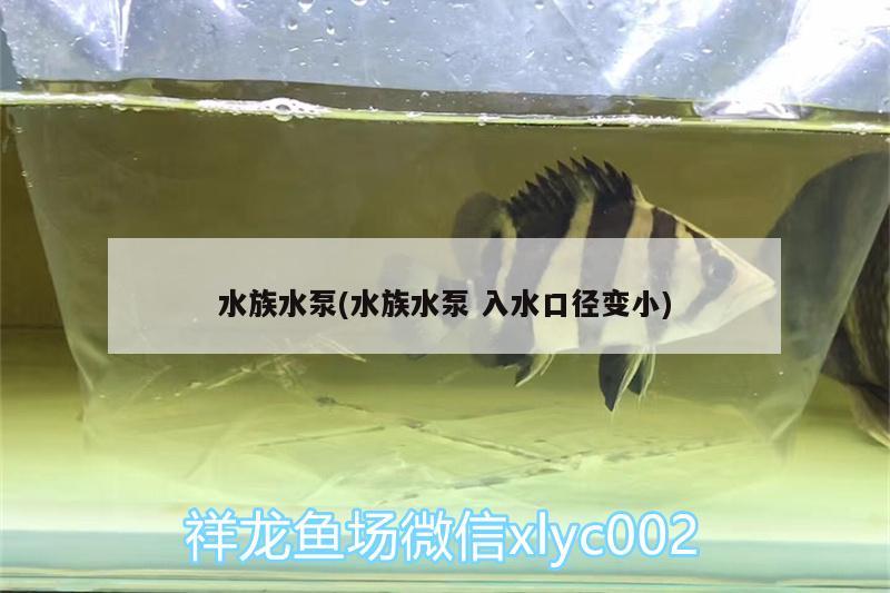 水族水泵(水族水泵入水口徑變小)