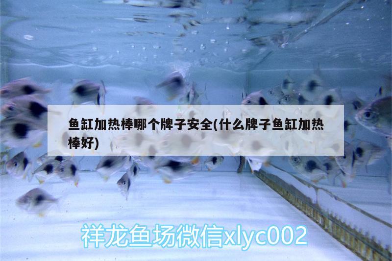 魚缸加熱棒哪個牌子安全(什么牌子魚缸加熱棒好) 二氧化碳設(shè)備