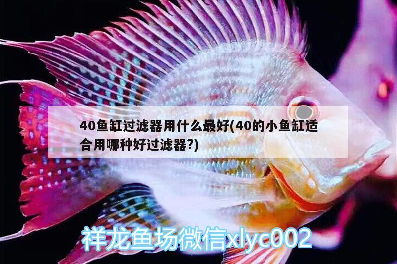 40魚缸過(guò)濾器用什么最好(40的小魚缸適合用哪種好過(guò)濾器?)