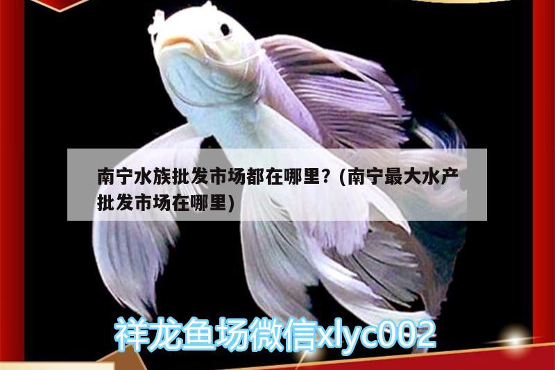 南寧水族批發(fā)市場都在哪里？(南寧最大水產(chǎn)批發(fā)市場在哪里) 觀賞魚水族批發(fā)市場