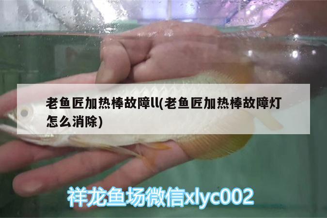 老魚匠加熱棒故障ll(老魚匠加熱棒故障燈怎么消除) 老魚匠