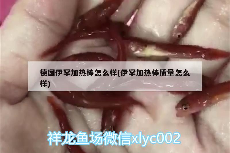 德國(guó)伊罕加熱棒怎么樣(伊罕加熱棒質(zhì)量怎么樣)