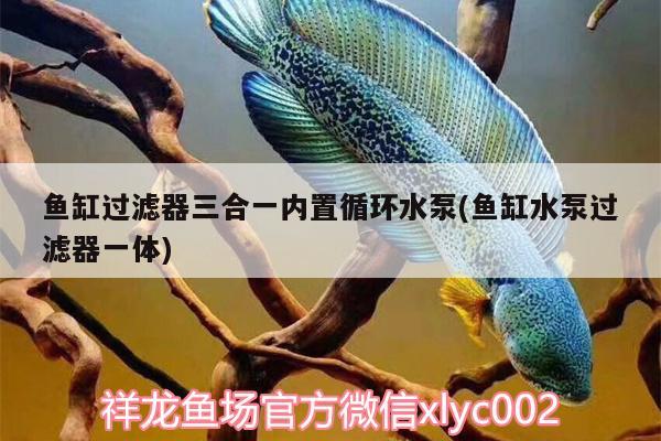 魚缸過(guò)濾器三合一內(nèi)置循環(huán)水泵(魚缸水泵過(guò)濾器一體) 魚缸水泵