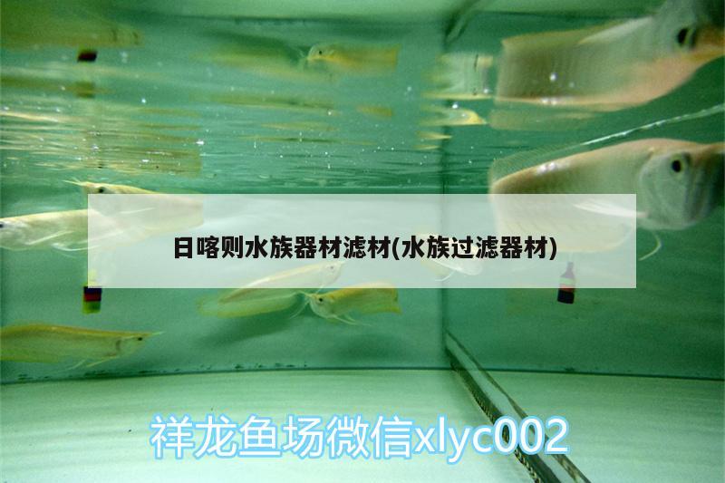 日喀則水族器材濾材(水族過(guò)濾器材) 藍(lán)底過(guò)背金龍魚(yú)