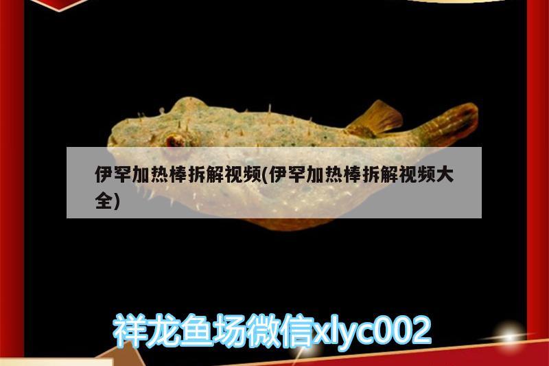 伊罕加熱棒拆解視頻(伊罕加熱棒拆解視頻大全)