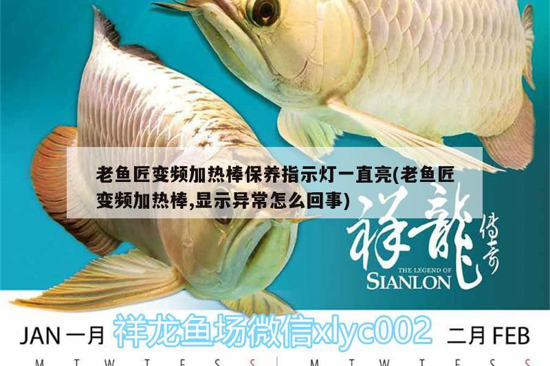 老魚(yú)匠變頻加熱棒保養(yǎng)指示燈一直亮(老魚(yú)匠變頻加熱棒,顯示異常怎么回事) 老魚(yú)匠