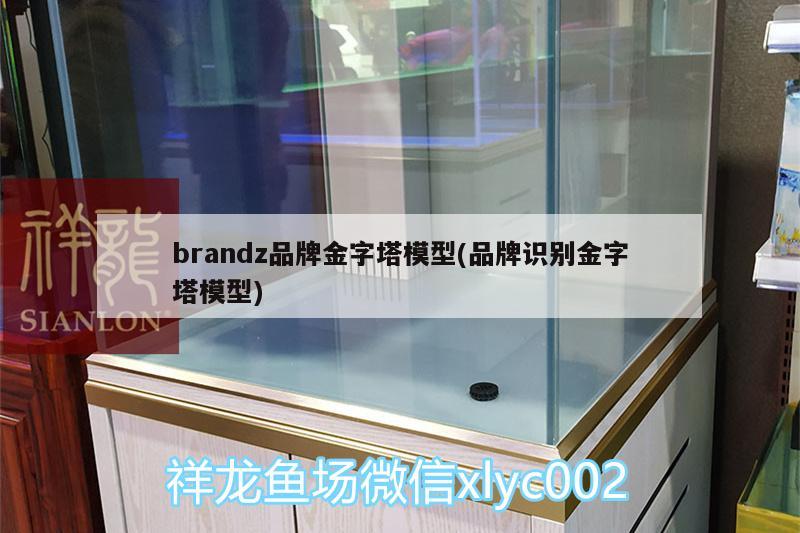 brandz品牌金字塔模型(品牌識別金字塔模型)