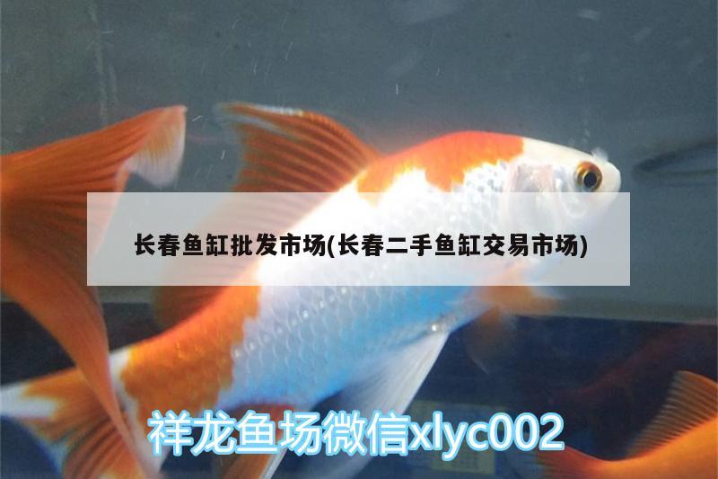 長春魚缸批發(fā)市場(長春二手魚缸交易市場)