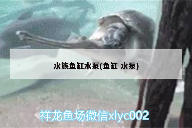 水族魚(yú)缸水泵(魚(yú)缸水泵) 魚(yú)缸水泵