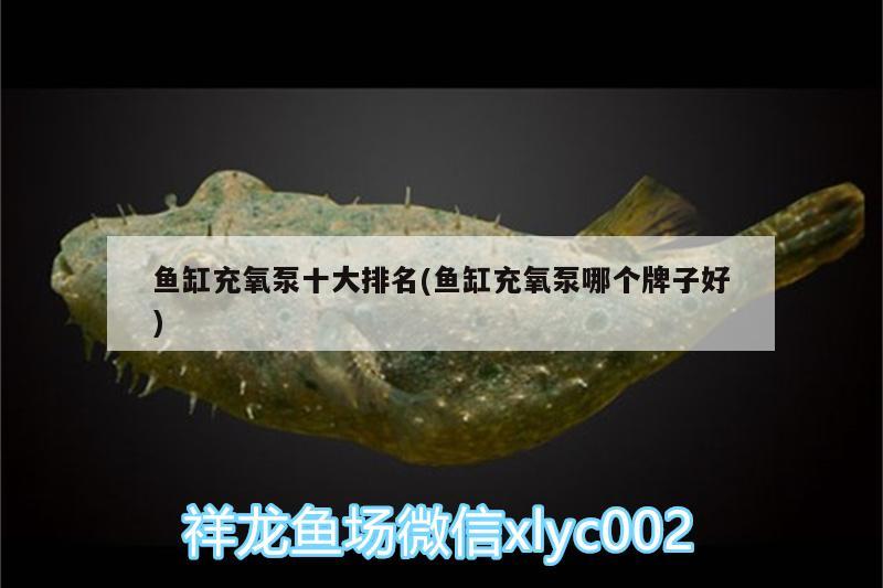 魚缸充氧泵十大排名(魚缸充氧泵哪個牌子好) 龍魚芯片掃碼器