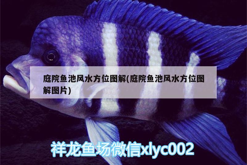 庭院魚池風(fēng)水方位圖解(庭院魚池風(fēng)水方位圖解圖片) 魚缸風(fēng)水