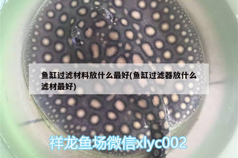 魚缸過濾材料放什么最好(魚缸過濾器放什么濾材最好) 祥龍水族濾材/器材