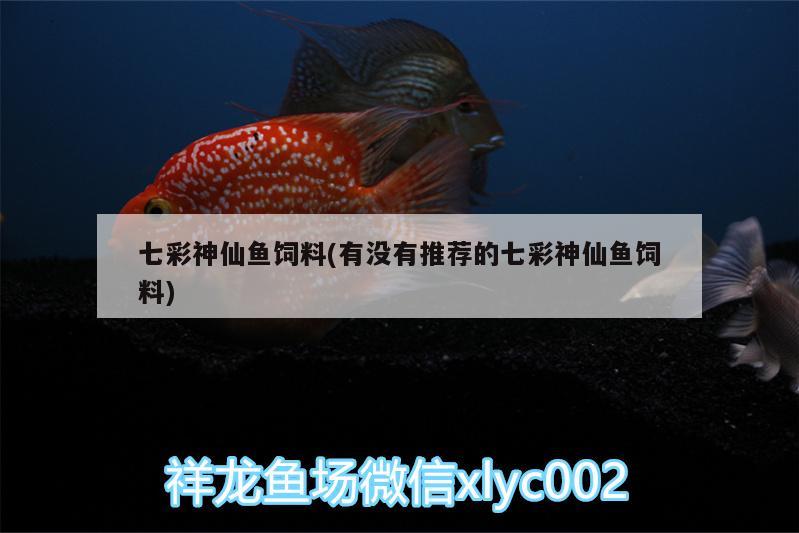 七彩神仙魚飼料(有沒有推薦的七彩神仙魚飼料)