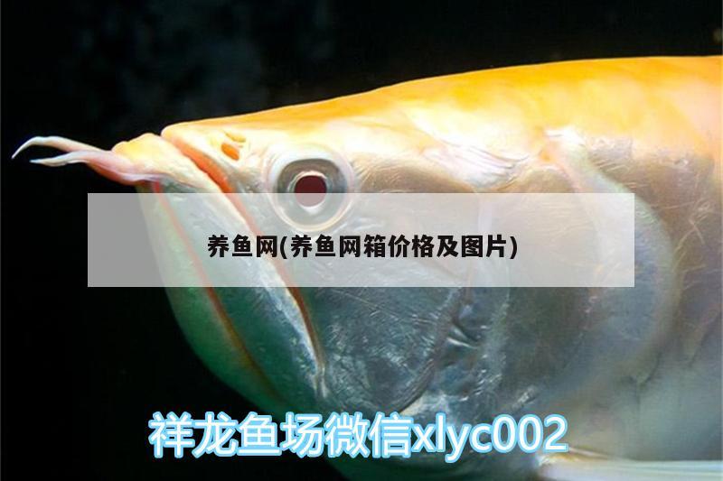 養(yǎng)魚網(wǎng)(養(yǎng)魚網(wǎng)箱價(jià)格及圖片)