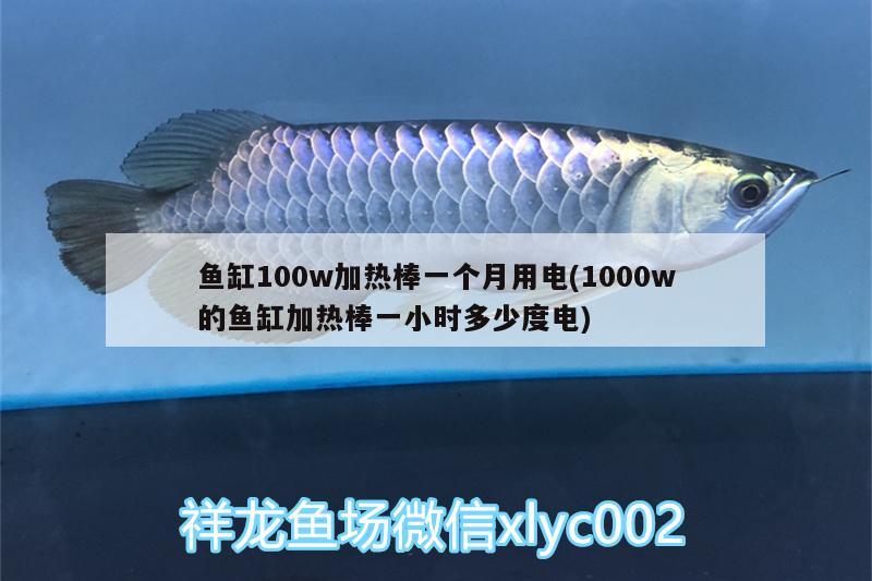 魚缸100w加熱棒一個月用電(1000w的魚缸加熱棒一小時多少度電) 圣菲埃及魚