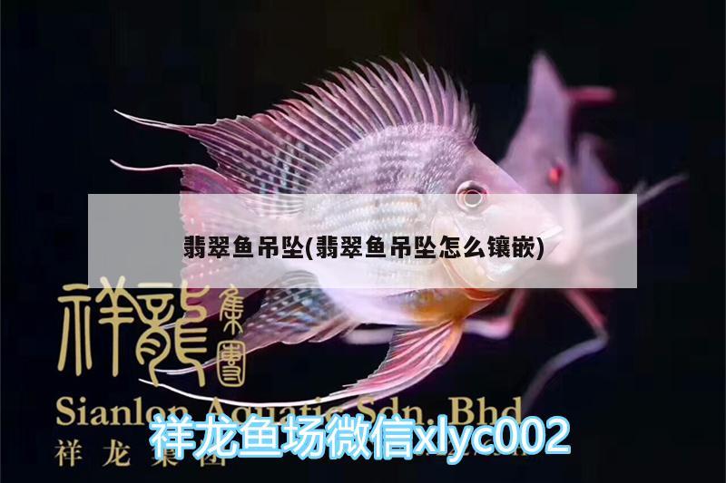 翡翠魚吊墜(翡翠魚吊墜怎么鑲嵌)