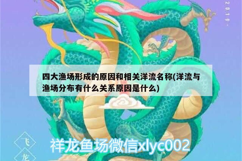 四大漁場形成的原因和相關(guān)洋流名稱(洋流與漁場分布有什么關(guān)系原因是什么) 慈雕魚