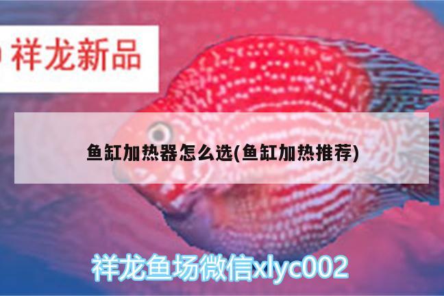 魚缸加熱器怎么選(魚缸加熱推薦)