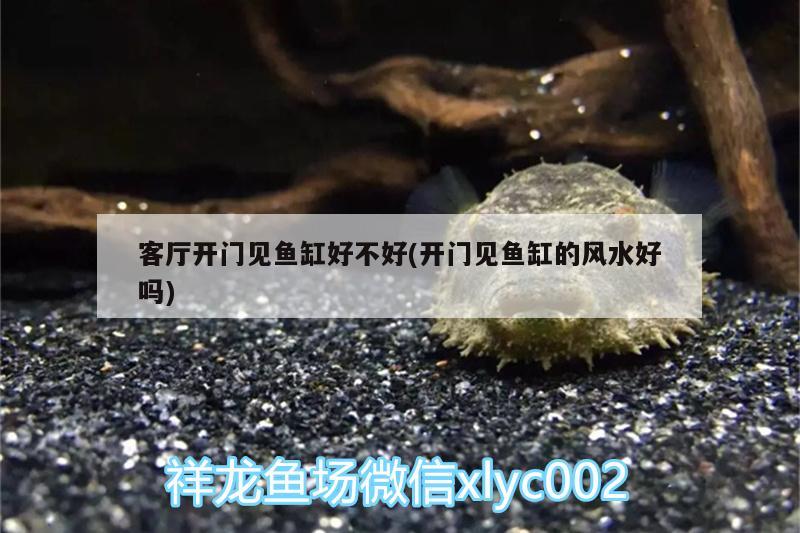 客廳開門見魚缸好不好(開門見魚缸的風水好嗎) 魚缸風水