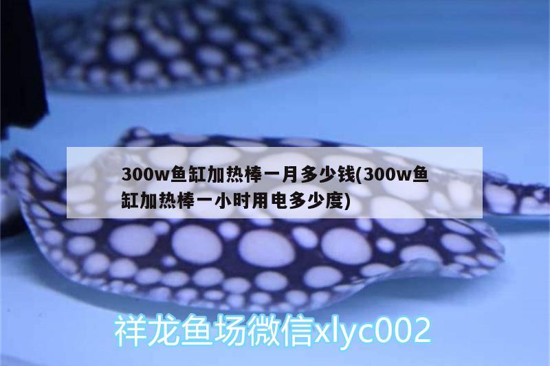 300w魚缸加熱棒一月多少錢(300w魚缸加熱棒一小時(shí)用電多少度)