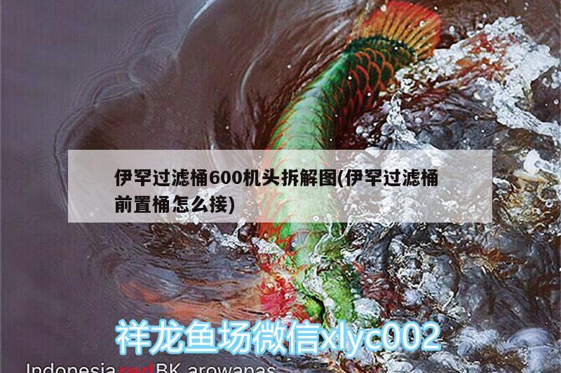 伊罕過濾桶600機(jī)頭拆解圖(伊罕過濾桶前置桶怎么接) 伊罕水族