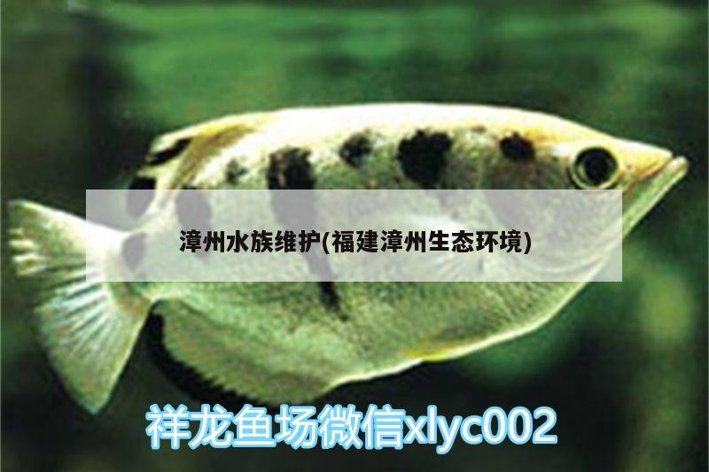 漳州水族維護(hù)(福建漳州生態(tài)環(huán)境)